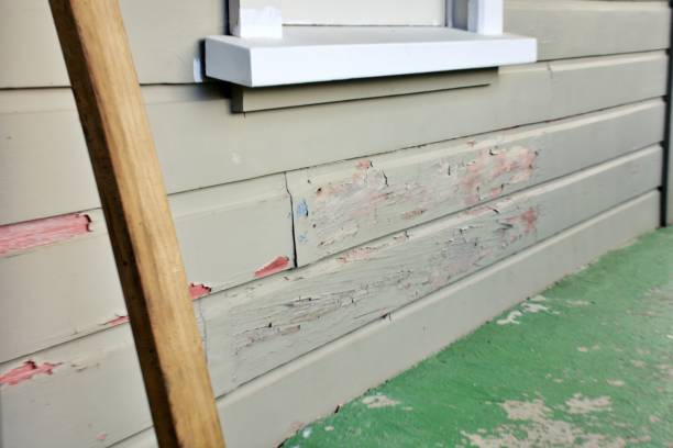 Best Insulated Siding Installation  in Long Beach, MS